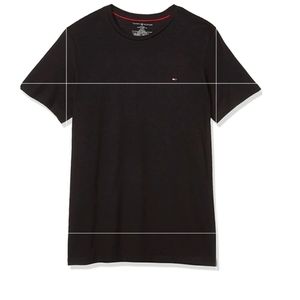 Tommy hilfiger men's flag Crewneck tee